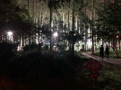 -仁和公园(顺义区)