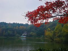 -岳麓山风景名胜区