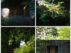 -鹿野苑石刻艺术博物馆