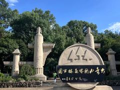 -大奇山国家森林公园