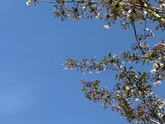 -小菜园新徽菜(青岛市南万象城店)