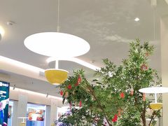 -Aqua Oasis 水天堂(太湖中心mall店)