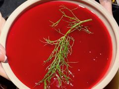 -大龙燚·旷野鲜火锅(广州首店)