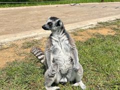 -杭州野生动物世界