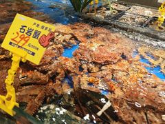 -79号渔船海鲜饭店(龙岗店)