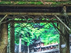 -青城山