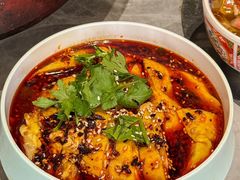 -肥家大排档(天河体育西店)