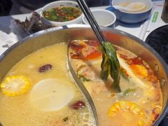 -濠七糟粕醋•海南酸汤火锅(中关村店)
