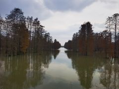 -池杉湖湿地公园