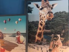 -Wagas沃歌斯(大学路店)