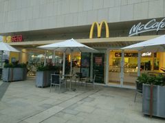 -麦当劳(塔园路店)