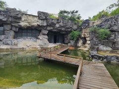 -上海吴淞炮台湾国家湿地公园