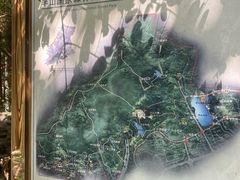 -杭州半山国家森林公园