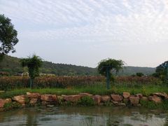 -龙寺生态园