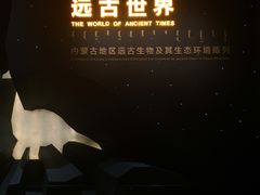 展厅-内蒙古博物院