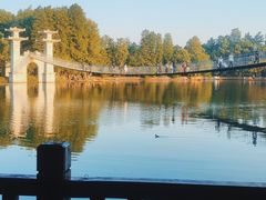 -东湖落雁景区