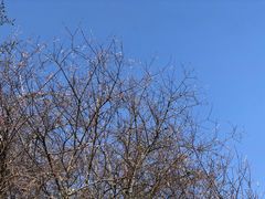 -硗碛藏寨·神木垒景区