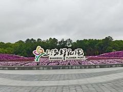 -上海鲜花港
