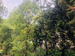 景点-鸿山公园