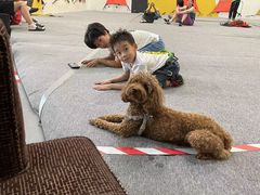 -问山MountQuest攀岩馆