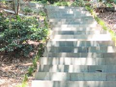 -杭州半山国家森林公园