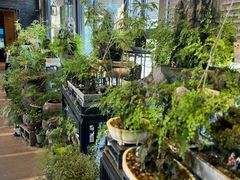 -川旺角川粤融合菜•海景餐厅(星海广场店)