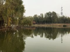 -大兴滨河森林公园