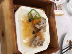 -鹅城