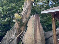 -宝岩生态观光园