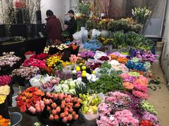 -双季花艺园艺市场(浦东店)