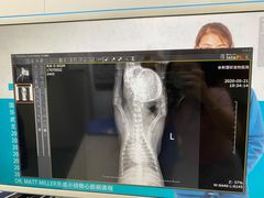 -奈斯宠物医院·核磁CT·异宠专科·内镜(中南店)