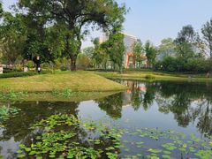 -成都市实验小学(人民中路校区)