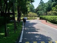 -火炉山森林公园
