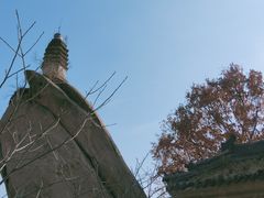-北京凤凰岭