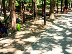 -白水寺森林公园