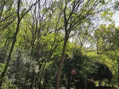 -南京市江宁方山