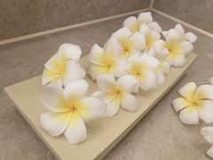 -三亚湾红树林度假世界(木棉酒店)