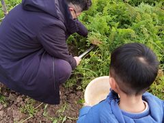 -美家乐农庄·露营·团建(大治路店)