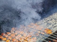 -周记老沈阳焦火鸡架