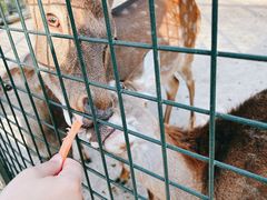 -西山漾湿地公园