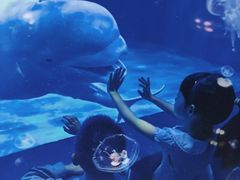 -多彩贵州城极地海洋世界