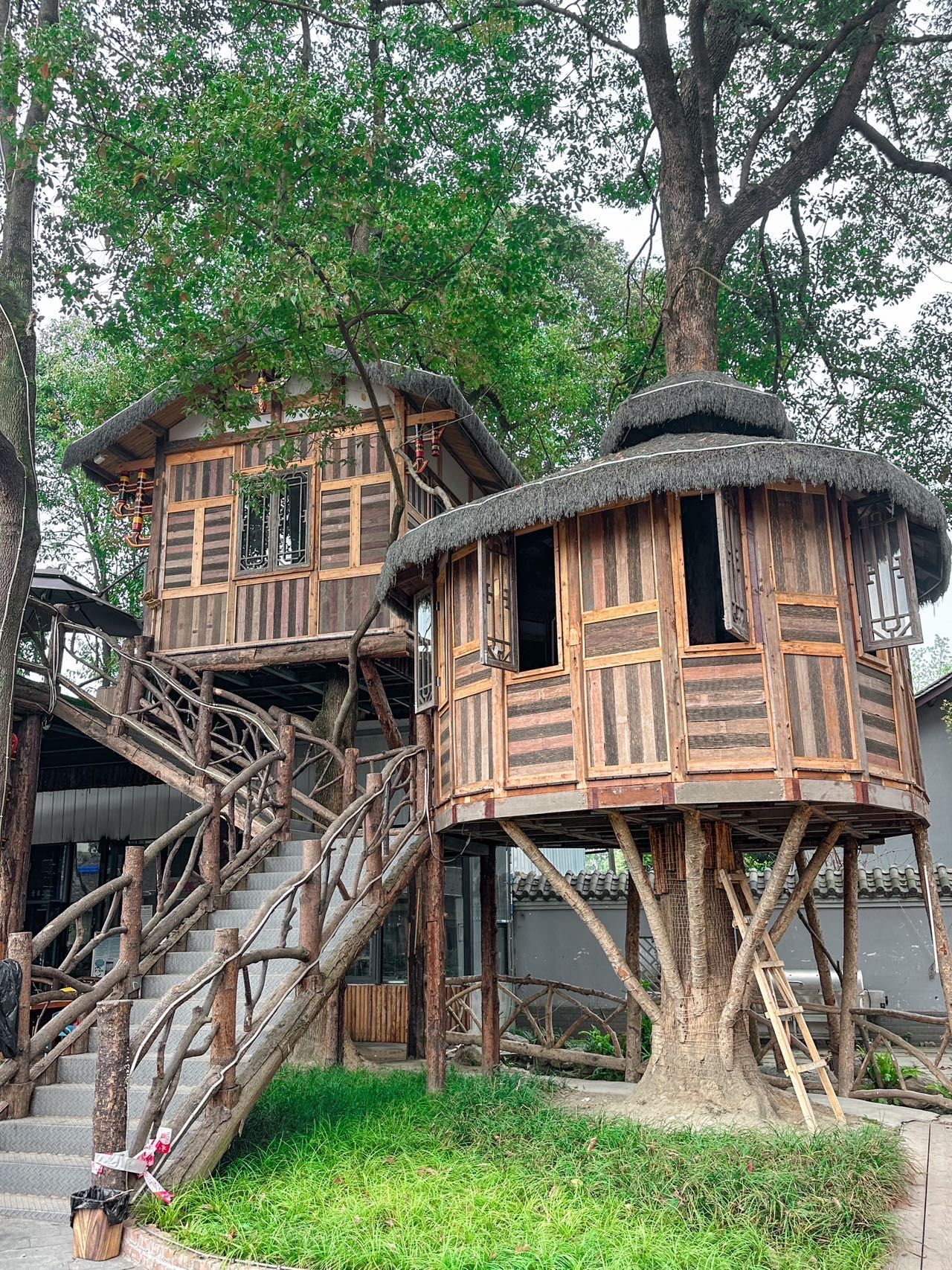 成都……真的在成都发现梦幻树屋