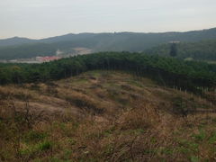 -高尔山公园