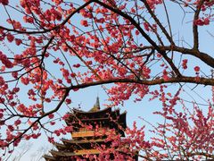 -杭州半山国家森林公园