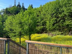 -山王坪喀斯特国家生态公园