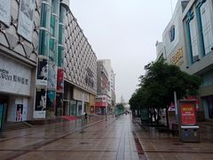 -沙洲路步行街(长安南路店)