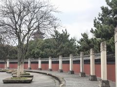 -观潮胜地公园