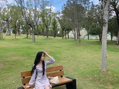 -牛岗山公园