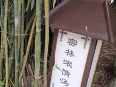 -三江森林温泉度假区