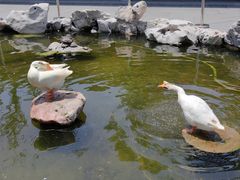 -龙华寺